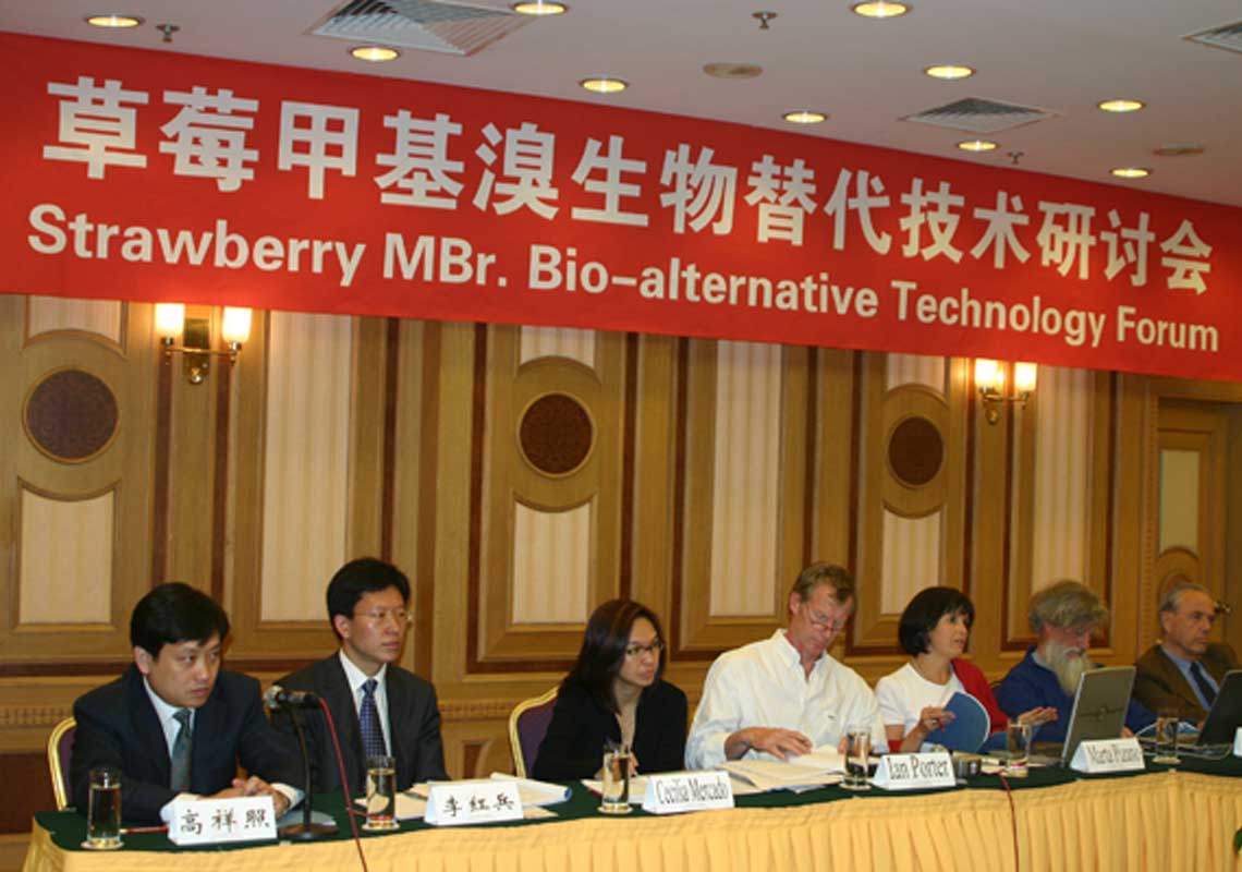 聯(lián)合國環(huán)境署、聯(lián)合國工發(fā)組織等機構出席了我公司舉行的草莓甲基溴生物替代技術研討會